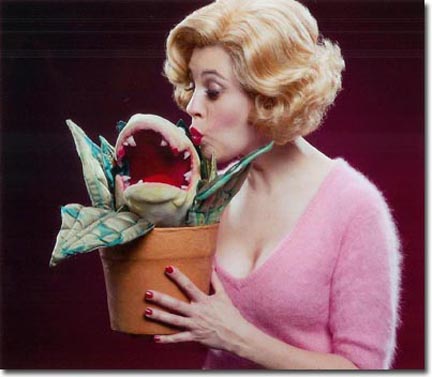 Little Shop of Horrors